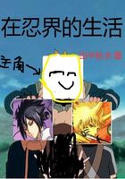 life in ninja world